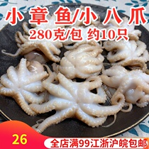 Frozen Little Octopus Small Octopus 280g Head Octopus Sea Chrysanthemum Seafood Aquatic Mini Octopus