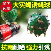 Fly stick pest control Durable small stick insect ball Fruit tree paste glue needle Bee trap Strong green paste ball