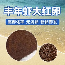 Hatching plentiful shrimp eggs High hatching rate Tibetan big red eggs Halogen eggs Guppies Small ornamental fish Juveniles open