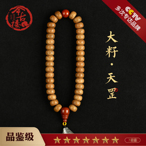 Tiangang tasting grade rare Chen seed Star Moon Bodhi hand string 8*12mm single circle mens play wood bracelet