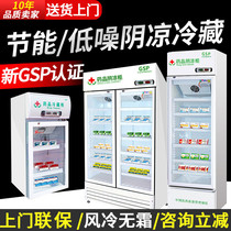 Medicine Yin Cold Cabinet Gsp Bag Over Refrigerated Cabinet Medicinal Medical Small Single Double Triple Door Dispensary Mini Display Ice Cabinet