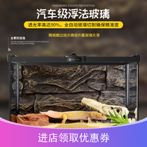 Climbing pet glass tank pet glass tank stackable feeding box Gougong lizard beetle Spider horn frog turtle jar