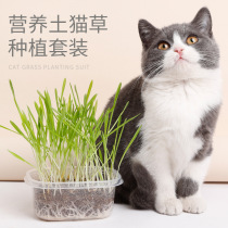 Cat supplies hairy grass cat grass seed hydroponic catnip nutrient soil planting set to remove hair ball cat snacks