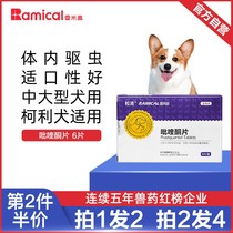 Remi High School Large Dog Pooch In Vivo Insect Repellent Drugworm Drug Gold Maudad Pet Body External integral pyriquinone