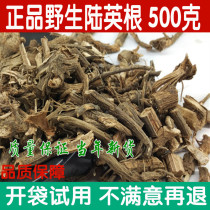 Lu Yingen Chinese herbal medicine shop fresh osseous grass root octagonal hemp 500g seven leaf root smelly grass root Chinese herbal medicine