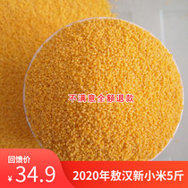 New beige millet 2020 edible Chifeng Aohan millet 5 kg farm baby porridge rice vacuum packed golden seedlings