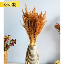 A bunch of natural hay shooting props ornaments can be used as a natural plant background wall