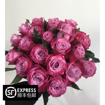 (Gerbera)Fresh Rose Single Head Rose Large Bud Purple Rose Phantom Premium Rose 18 tie