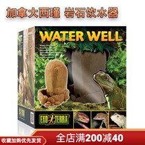 Canada EXO TERRA Xijin rainforest desert reptile creeper drinker landscape basin lizard snake tortoise