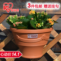 Alice environmental protection resin wall-mounted flowerpot European personalized flowerpot green water basin semicircular wall-mounted pot