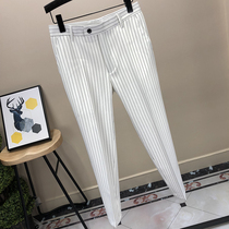 Pendant little panties male nine-point pants Korean version of trendy trousers 9-point pants with handsome striped suit pants