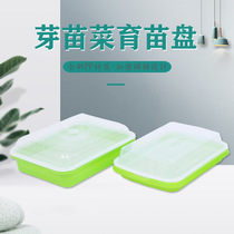 Bean Sprout vegetable Seedling Pan Sprout Fry vegetable Plane Dish Theorizer No Soil Cultivated Hydroponic Vegetable Seedling Basin Tray rack