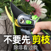 Japanese garden scissors imported pruning shears home Garden horticultural scissors pruning branches fruit tree scissors flower grafting scissors