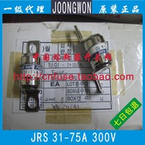 South Korea JOONGWON Insurance JRS31-JR31-40A-50A-75A JRS61-100A 300V 600V