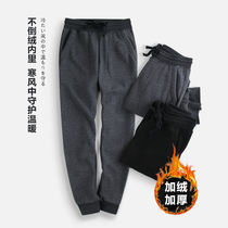 Plus velvet sweatpants womens autumn and winter new solid color elastic waist casual loose small leg pants bunch foot gray cotton pants