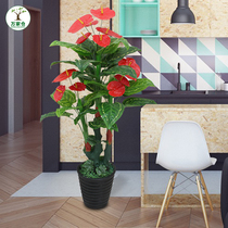 Simulation plant living room fake flower TV next to the head Hon transport indoor plastic flowers big anti-real flowers red palm bonsai