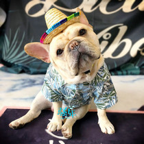 Fat Dog Spring Summer Sweatshirt Hawaiian Tropical Shirt Farfight Kirky Snownery the Big Brother Social Grass Hat Bago