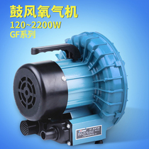 Sun born scroll blower 380V silent high power hair dryer GF-120c180c2503707501100