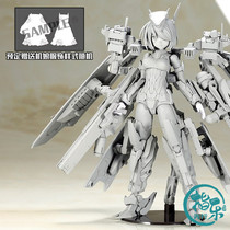 Book Shouya assembly model machine mother FAG King Kong in advance