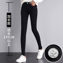 Extended leggings female outer wear high 175 thin section 2020 spring and autumn new ultra-long thin feet pencil pants