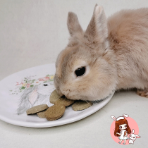 American Rabbit Grain Functional Grass Pie Veurology Joint Skeletal Gut Meme Immunity Rabbit Dragon Cat Guinea Pig