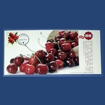 Limit Postcard 2018-18 Fruit Stamp Cherry Homemade Limit Film