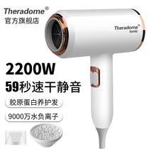  Theradome hair salon hair dryer Household high-power barber shop negative ion protection power generation hair dryer Hot and cold air