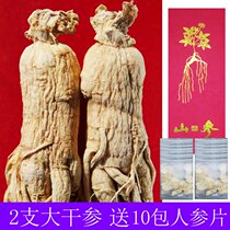 (forest-big branched ginseng) Ginseng wild ginseng Changbai mountain raw sun-dried ginseng white ginseng soaked in wine big ginseng