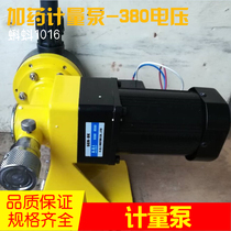 Plastic horizontal vertical electric dosing pump Flow pump Small dosing pump Agent adding JWM metering pump