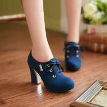 Korean version of the socialite thick high-heeled waterproof platform ladyboy high heels New large size thick-heeled spring and autumn lace-up ladyboy shoes