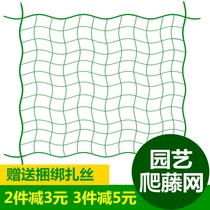 Home Horticulture Network Climbing Vineyard Climbing Network Cucumber Line Line Triangle Piek Line Vegetable Campaign Network