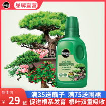 Melody bonsai special nutrient solution home gardening plant potted conservation concentrated liquid fertilizer 250ml