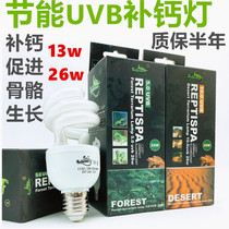 Reptile tortoise UVB lamp ultraviolet 10 0 0 5 0 energy-saving lamp tortoise sun back calcium succulent plant fill light