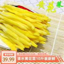 Fresh water yellow cauliflower golden needle 10 kg cold salad hot pot Malatang hotel sulfur-free commercial natural ingredients