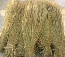 Supplies dry straw guinea pig pigeon squirrel parrot small animal weaving nest grass nest haystack egg dried straw straw