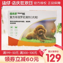 Foley in vitro deworming dog small dog anthelmintics 3 whole box of flea tick tick puppies