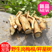 Fresh Gang Megan Mountain Soil Licorice Root Mountain Megan Star Wood Root Baihei Root Xia Root Xia Root Dry Goods