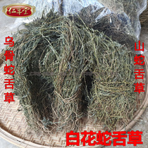 Chaoshan new dry product Wild Baihua mountain snake tongue grass White snake tongue grass black bone snake tongue grass 500g