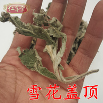 Chaoshan Chinese Herbal medicine White Dan grass Snow cover top cover top sheep ear grass Bulbul 500g