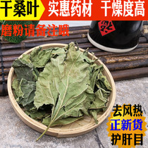 Chinese herbal medicine dry mulberry leaf Bubble water Drink with special level wild 500g freeze-dried cream after autumn mulberry leaf sunburn and drop bulk sugar