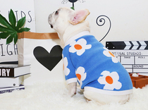 Fruit bear method fight XIYO autumn and winter fight sweater and wind Hyuna flower cute pet clothes