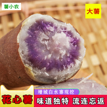 Flower heart purple potato Zengcheng fragrant potato ghost hit Potato Sweet Potato 5kg