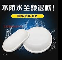 LED waterproof light outdoor toilet light anti-explosion lamp hood bathroom toilet cold storage lamp outdoor floodlight damp