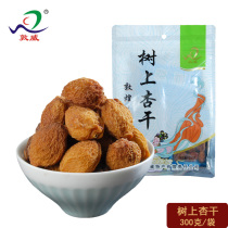 Dunhuang specialty tree dried apricot 300g snack candied fruit dried original flavor preserved fruit independent small packet Northwest specialty Dunwei