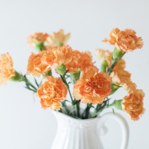 Orange carnations orange carnations flowers send mothers to elders home flowers office flowers Express