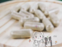  LION-A mysterious unprofitable probiotic that works well for dogs and cats to save money