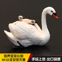 Solid simulation animal model set poultry animal toy swan white swan bird bird gift ornaments