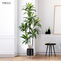 Roman Mother Nordic Wind Emulation Plant Days Goose Down Floor Potted Room Living-room Living-room Genguan Decoration Green Plant Pendulum