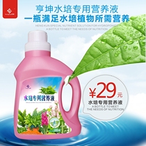  Hengkun hydroponic plant nutrient solution Flower fertilizer four seasons plant Green dill flower potted water lily lotus Fugui bamboo green plant