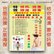 Chinese medicine health seabuckthorn detoxification BT beauty body health poster board advertising design printing customization